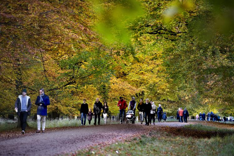 Weekenden bliver sensommerskøn og varm - men allerede mandag - første dag i efterårsferien - ændrer vejret sig, og det bliver markant koldere.  Finn Frandsen/POLFOTO