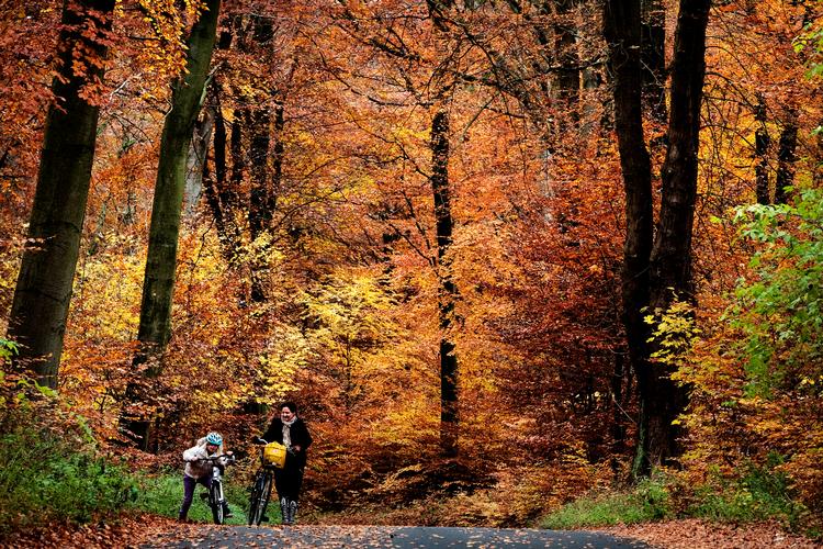 Arkivfoto: Martin Lehmann