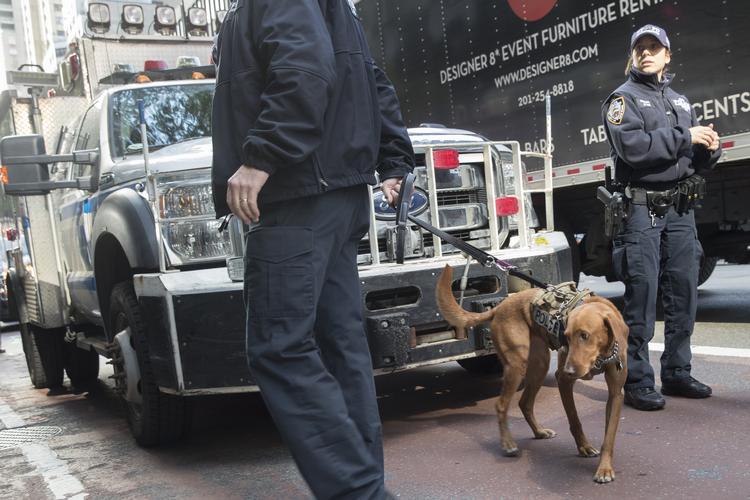 Sikkerheden foran flere politikeres huse er blevet væsentligt forøget. Her ses betjente med bombehunde foran den bygning, der rummer kontoret for guvernøren i New York, Governor Andrew Cuomo. Mary Altaffer/AP