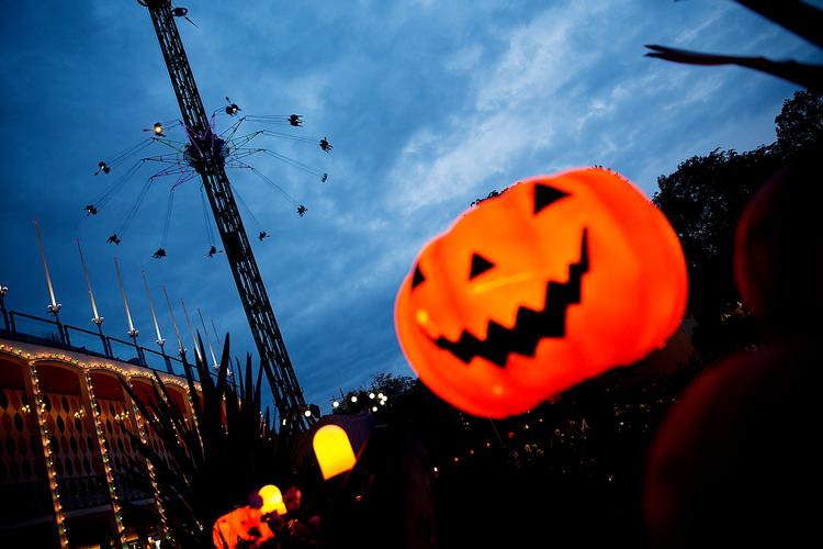 Foto: Thomas Borberg (arkiv) Thomas Borberg/POLFOTO