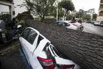 Træer væltede ned over biler, og tog- og motorvejstrafik måtte indstilles, da tornadoer og voldsomme oversvømmelser ramte store dele af Italien. Angelo Carconi/AP