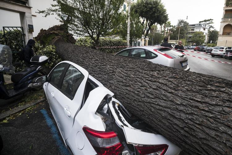 Træer væltede ned over biler, og tog- og motorvejstrafik måtte indstilles, da tornadoer og voldsomme oversvømmelser ramte store dele af Italien. Angelo Carconi/AP