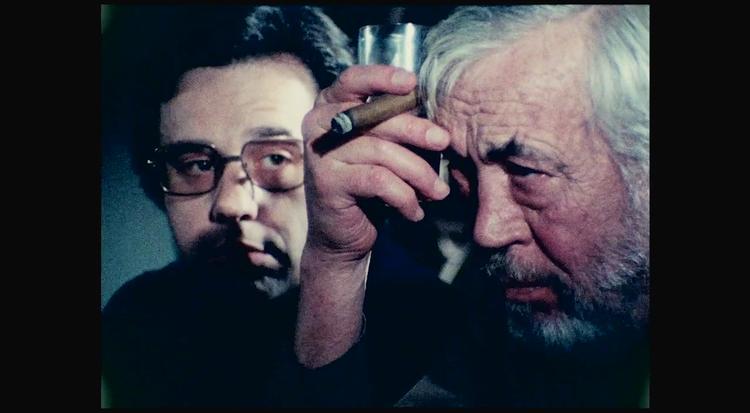Instruktøren Jake Hannaford måtte stoppe indspilningerne til sin film på grund at problemer med en skuespiller. I Netflix' færdige klip af den ufærdige Orson Welles film forsøger Hannaford at få finansieret sin film og genoprette sit gode ry. /Netflix