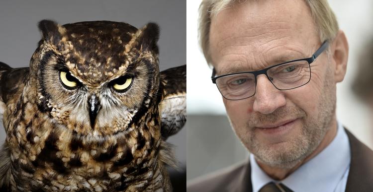 Martin Bubandt/Mik Eskestad