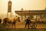 Betjenten Randy Law hjælper en hest, der er blevet reddet fra branden ved Paradise i Californien. Foto: AP Photo/Noah Berger
   Noah Berger/AP