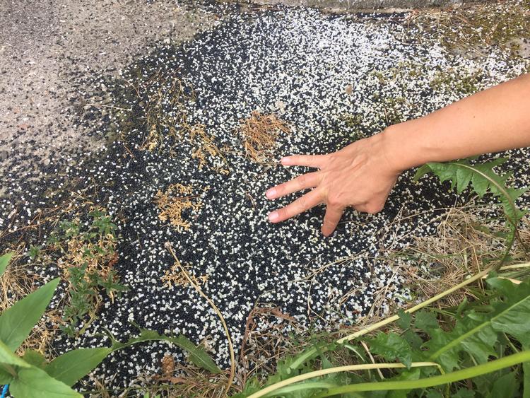 Plastik pellets bruges som råstof til produktion af alt fra tynd emballageplastik til LEGO-klodser. Stikprøve viser, at de kan findes i natur og søer tæt ved seks ud af syv danske virksomheder, der leverer plastikprodukter.  Plastic Change