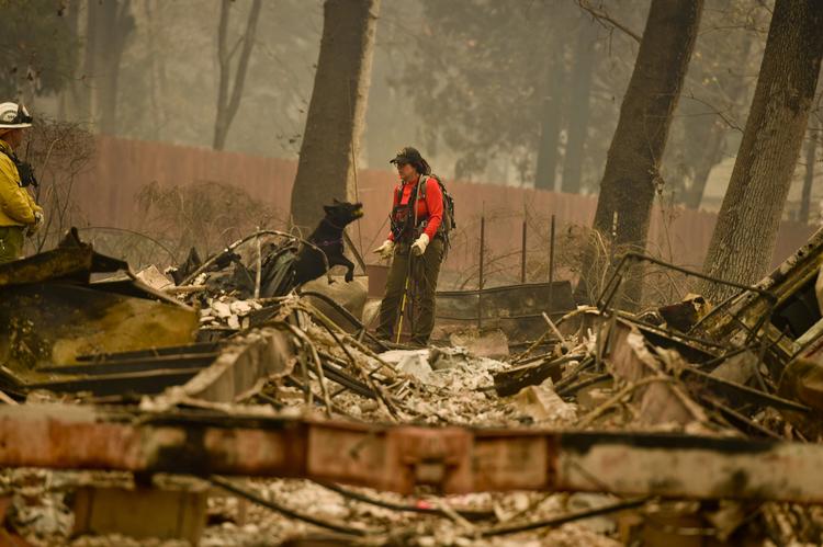 
    Redningsarbejder Noelle Francis og hendes hund søger efter overlevende.  Skovbranden har her hærget et mobil home område i Paradise, Californien.  (Hector Amezcua/The Sacramento Bee via AP)
   Hector Amezcua/AP
