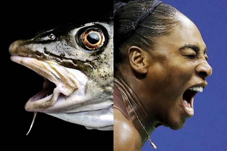 Arkivfoto Joachim Adrian/Julio Cortez/AP