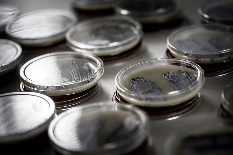 Danmark får sit første videnscenter om antibiotikaresistens.   Peter Klint/POLFOTO
