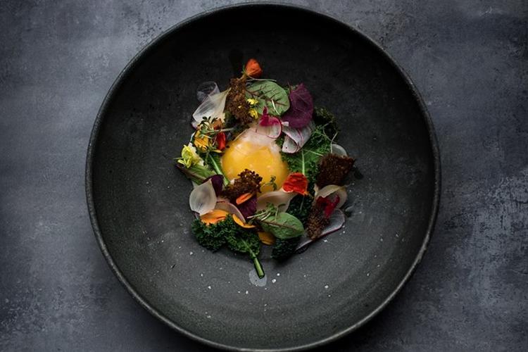 Sådan kan en oste.ret også se ud. Kokke fra bl.a. Falsled Kro og Kiin Kiin dyster om titlen som landets bedste oste-kok. Pr-foto