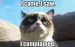 grumpy cat meme