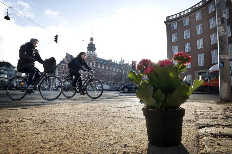 Et øjebliks uopmærksomhed - og et menneskeliv er væk. Tilbage står en blomst ved det kryds, hvor cyklisten blev kørt ihjel. Arkivfoto. Jens Dresling/POLFOTO