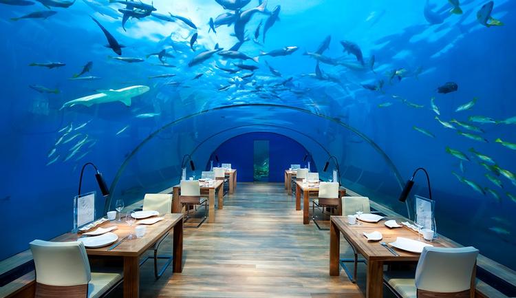 Nyd en middag til synet af farverige fisk, skildpadder, hajer og rokker.  Conrad Maldives Rangali Island