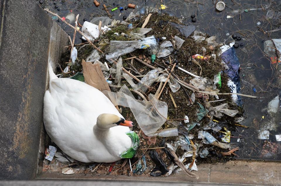 Lisbeth Engbo/ Plastic Change 