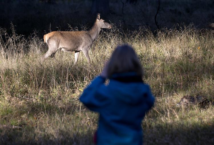 Søndag bliver weekendens lyspunkt, hvor solen kigger frem.  Foto: Finn Frandsen/POLFOTO