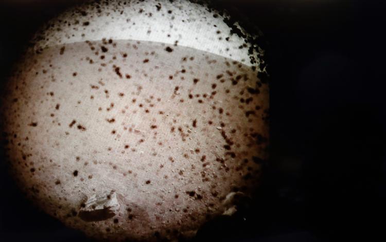 Et billede af Mars transmitteret fra 'InSight'. Foto: /AP