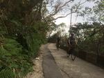 Eddie Lam og Noah Hui fra cykeltøjsmærket Raphas Hongkong-afdeling kender enhver lille bag- og smutvejr på turen op til Hongkong-øens højeste top - Victoria Peak. Foto: Sune Højrup Bencke