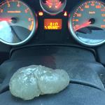 Foto: Annette Nyvang