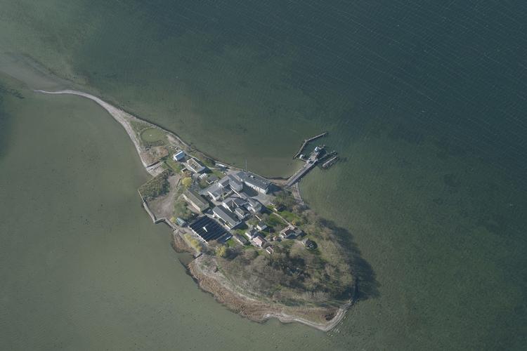  Kriminelle udlændinge, som Danmark ikke kan sende hjem, skal fremover opholde sig på den øde ø Lindholm i Stege Bugt.
   Foto: Styrelsen for Dataforsyning og E/Ritzau Scanpix