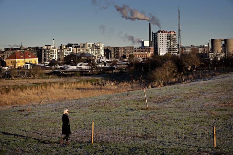 Den grønne plet Selinevej Nord er del af den store Kalvebodkile-fredning. Nu skal her bygges erhverv for at skaffe 110 millioner kroner til By & Havn. Fredningschef i Danmarks Naturfredningsforening Birgitte Bang Ingrisch: »Det er  ellers formålet med fredninger at undgå at økonomisk hensyn skal få forrang for værdifuld natur« 
   Foto: Martin Lehmann/POLFOTO