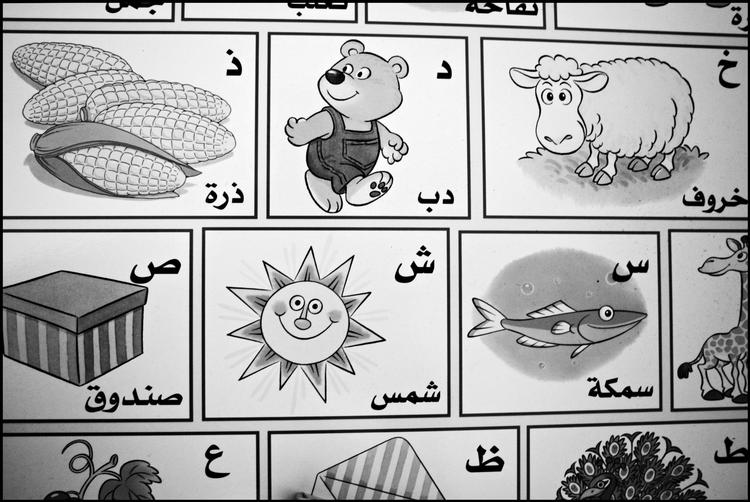 Foto: Stine Bidstrup/Jyllands Posten