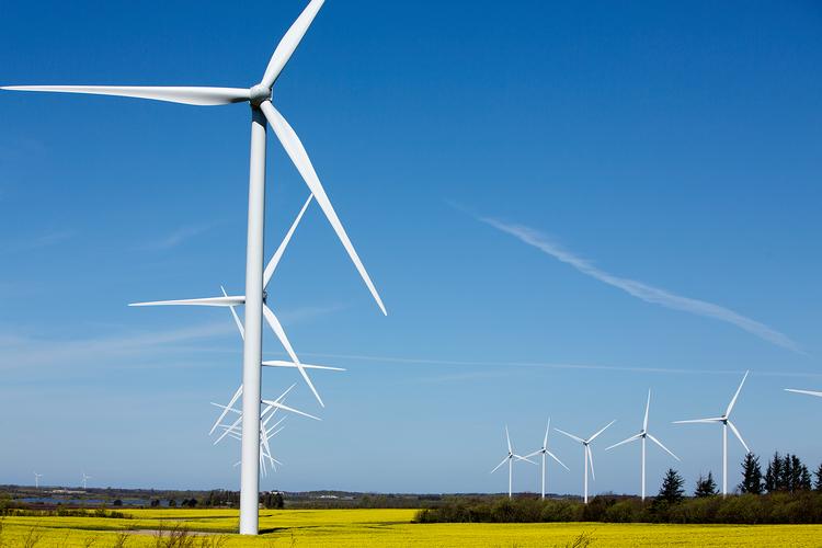 Foto: Thomas Borberg/POLFOTO