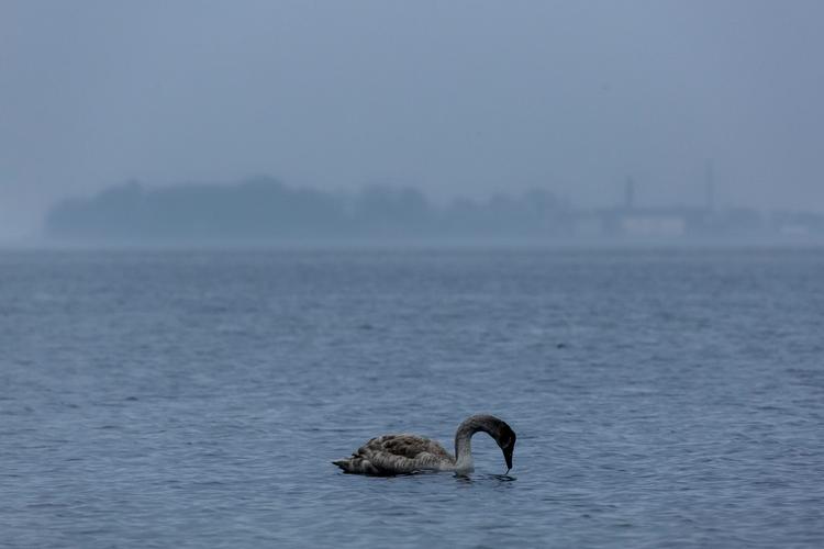 Foto: Mads Nissen/POLFOTO