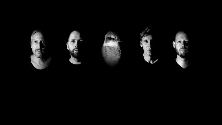 Hvad kan det ikke blive til, hvis fire gårdsangere krydses med en gærdesanger ... Dans & Lærs dobbeltalbum 'Fra Fugl Til Fugl' er et fint take på fugle og pop.  Foto: Frederik Schumann