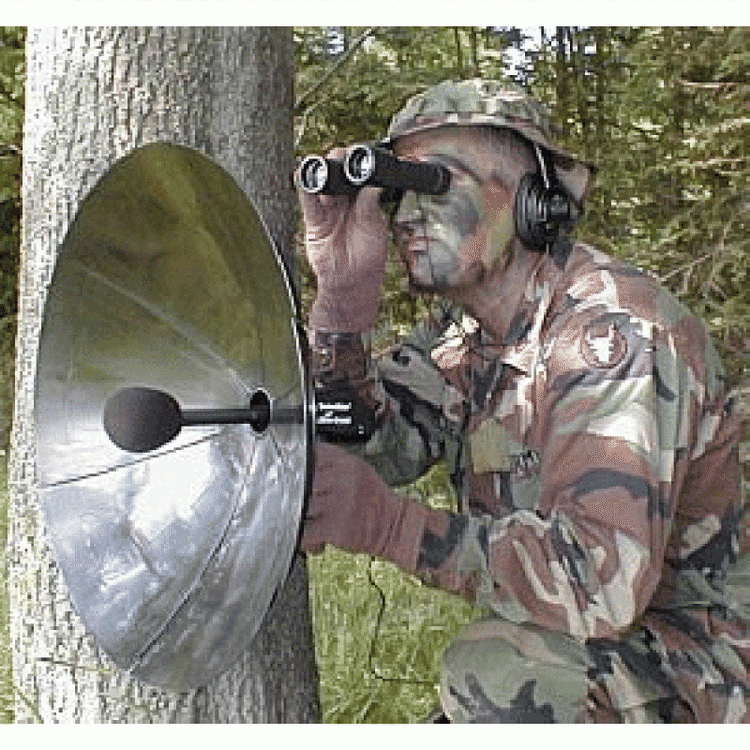 Også forsvaret er på udkig efter personer med tibetanske flag. 