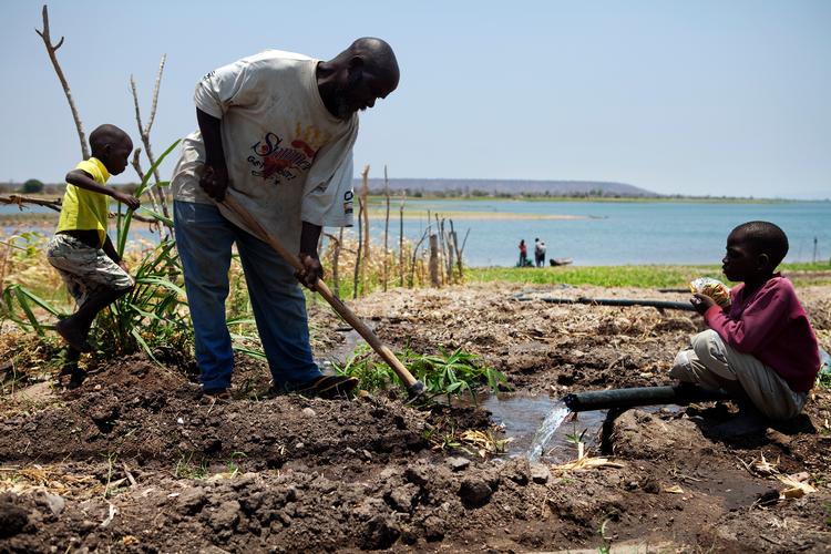 Danmark betaler ikke nær så meget klimabistand, som de burde, mener ngo'en Care. Danmark har ellers indgået et løfte med de 22 andre rige lande på klimatopmødet i Paris, hvor de aftalte, at de inden 2020 ville betale et samlet beløb på 100 milliarder dollars. De har dog været uenige i, hvordan de skulle finde frem til deres egen fair andel af puljen. Care har regnet det ud ved at kigge på Danmarks BNI, fordi det viser rigdom. Arkivfoto.
   Foto: Thomas Borberg/POLFOTO