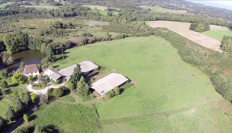 I første omgang er der plads til tre elefanter i reservatet Elephant Haven i Frankrig. Foto: Elephant Haven 