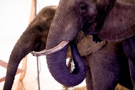 Foto: Finn Frandsen/POLFOTO