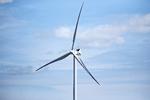 Vindmøller og grøn energi er vigtigt. Men EU udleder kun omkring 10 procent af de globale drivhusgasser, så vi må også hjælpe den grønne omstilling i resten af verden.  Foto: Jens Dresling/POLFOTO