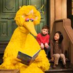 
Tumblr fjerner nu alt pornografisk indhold fra deres side. Ifølge deres algoritme ryger blandt andet børne-tv under den kategori - det bemærkede en bruger, da hans billede fra børneserien 'Sesame Street' blev markeret som 'pornografisk indhold'.   Foto: Mark Lennihan/AP