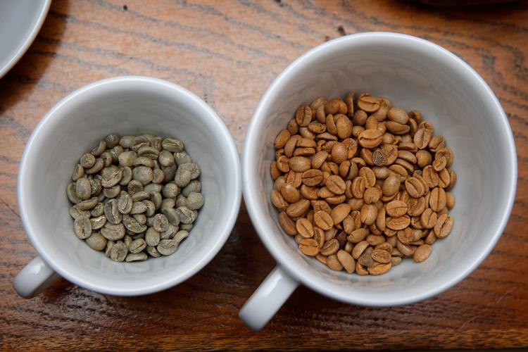 De gule bønner er 100 år gamle. Når kaffebønner er friske, er de grønlige og dufter af hø. Foto: Jens Dresling/POLFOTO