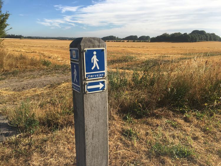 Hele Hærvejsruten er flankeret af små, blå skilte med hvide piktogrampersoner, der peger vandrerne i rette retning. Foto: Sara Schlüter