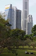 I Singapore kan der være behov for at slappe af, og det kan gøres i en af parkerne.
   Foto: Wong Maye-e/AP
