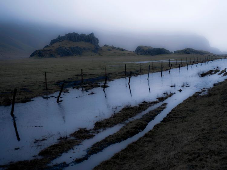 
»Min ø ligger nordligt i åbent hav. På dens vej fra Edens have forsvandt mange planter, blomster, træer.«
   Arkivfoto Annelise Fibæk