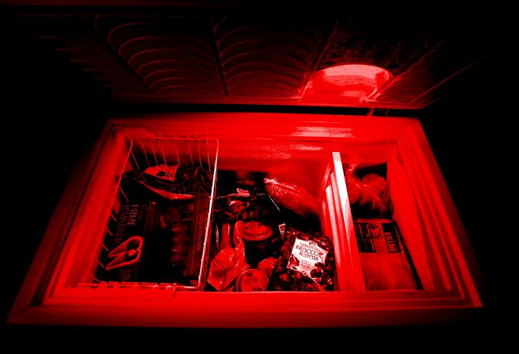 Det var et uhyggeligt fund,  det sydafrikanske politi gjorde  i Peter Frederiksens fryser. Afskårne kønsdele. Det er der dog ikke i denne fryser, bare rolig - det er blot et arkivfoto. 