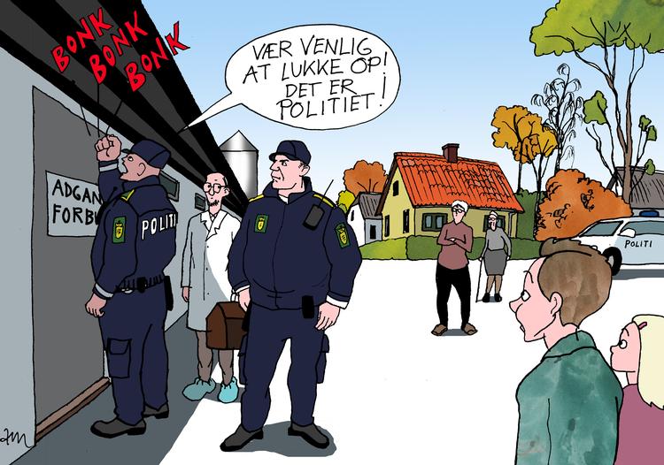 Foto: Anne-marie Steen Petersen/Politiken-Tegning