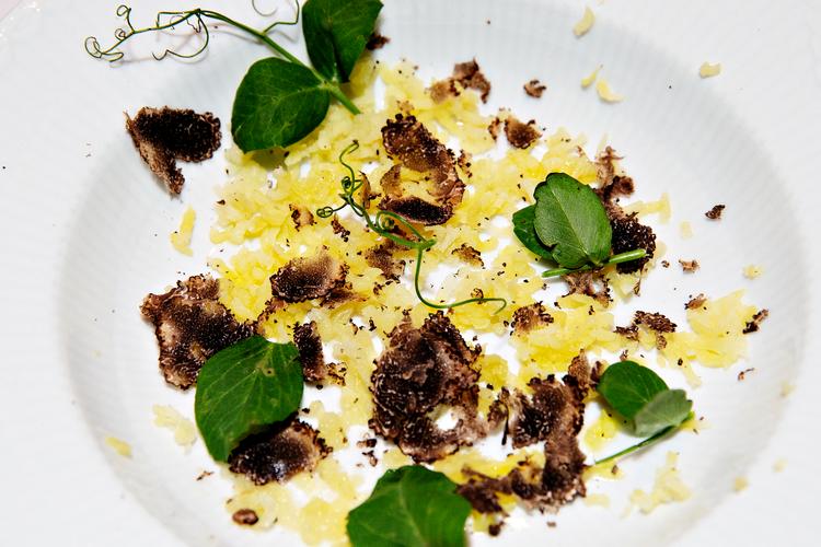 Den veganske menu på Lumskebugten levede desværre ikke op til forventningerne. Her kartofler (dog ikke maste, som på aftenen, hvor vores anmelder var forbi) med trøfler og ærteskud.. Foto: Martin Lehmann/POLFOTO