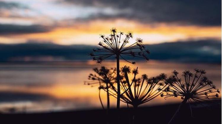 Her i Island skinner solen lige nu kun fire timer om dagen. Så det kan føles som et mirakel at få et glimt af solnedgangen. Foto: @christina_gamborg