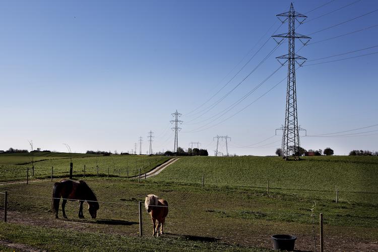 Foto: Sisse Dupont/POLFOTO