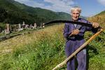 Der bliver høstet med de allermest traditionelle redskaber i Ushguli i Georgien. Foto: Stefano Pensotti/Travel Photographer of the Year