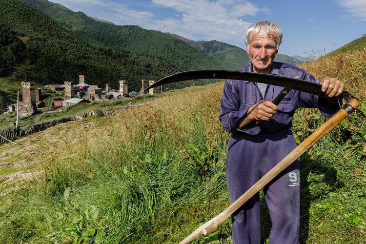 Der bliver høstet med de allermest traditionelle redskaber i Ushguli i Georgien. Foto: Stefano Pensotti/Travel Photographer of the Year
