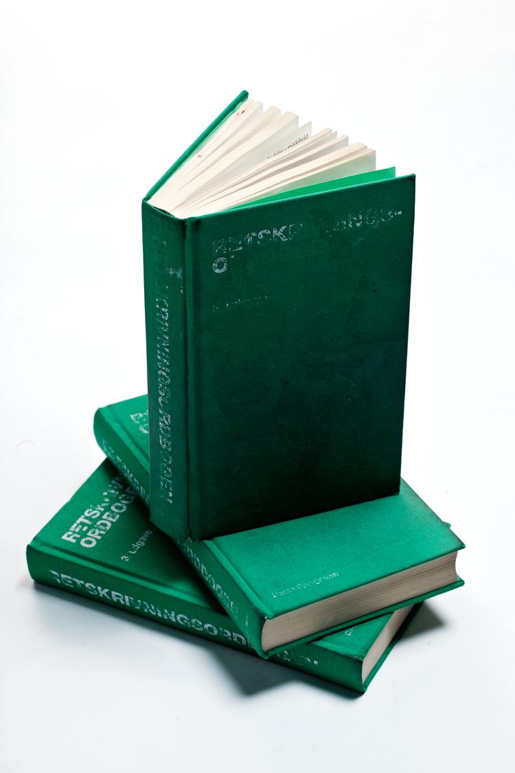 Den digitale version af Retskrivningsordbogen opdateres med nye ord hvert år i december. Den seneste trykte udgave er fra 2012.  Foto: Rune Pedersen/POLFOTO