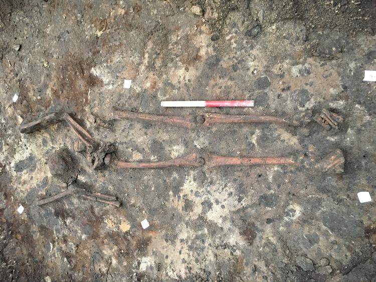 
    Arkæologer fra Moesgaard Museum har gjort et længe ventet fund af en gravlagt vikingekriger på en byggeplads ved det tidligere hovedbibliotek i Mølleparken i Aarhus. Foto: Moesgaard Museum/Ritzau Scanpix