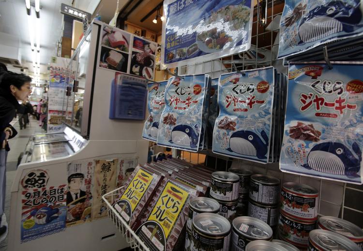 Japan har besluttet at trække sig fra Den Internationale Hvalfangstkommission (IWC). Beslutningen er truffet for at kunne genoptage kommerciel hvalfangst næste år. Landet har jagtet hvaler i århundreder, og hvalkød har været en vigtig næringskilde for japanere - især i de magre år efter Anden Verdenskrig. Foto: Shizuo Kambayashi/AP