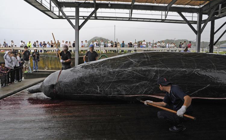 Foto: Shuji Kajiyama/AP