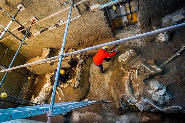 Der er afsat knap 15 millioner kroner til yderligere udgravninger i 2019.  Foto: Cesare Abbate/AP